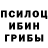 Галлюциногенные грибы Psilocybine cubensis David Gavriel