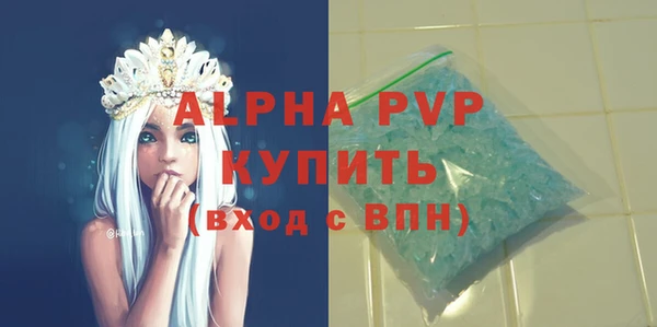 мдпв Новозыбков