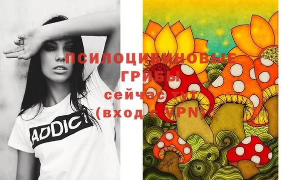 МДПВ Новодвинск