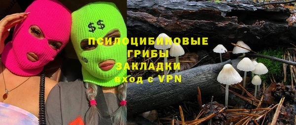 мдпв Новозыбков