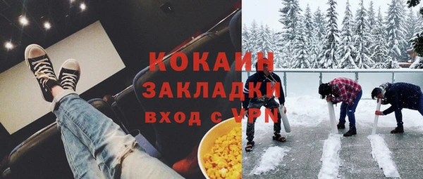 мдпв Новозыбков