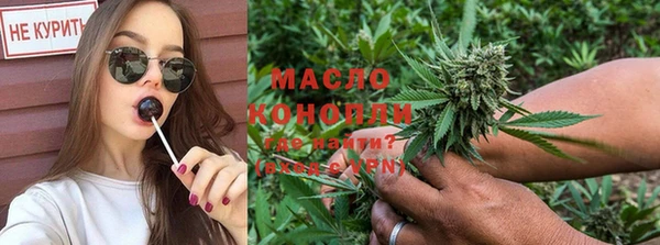 мдпв Новозыбков