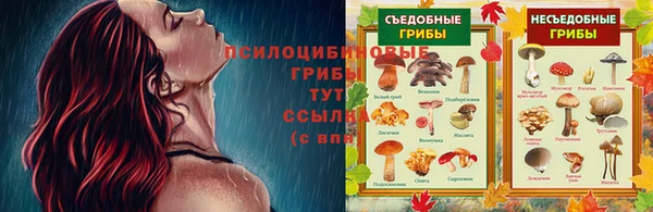 трава Новокубанск