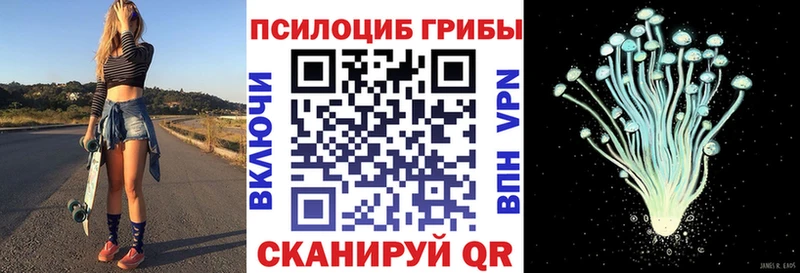 Псилоцибиновые грибы прущие грибы  ОМГ ОМГ как зайти  Сергач 