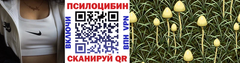 Галлюциногенные грибы мицелий Сергач